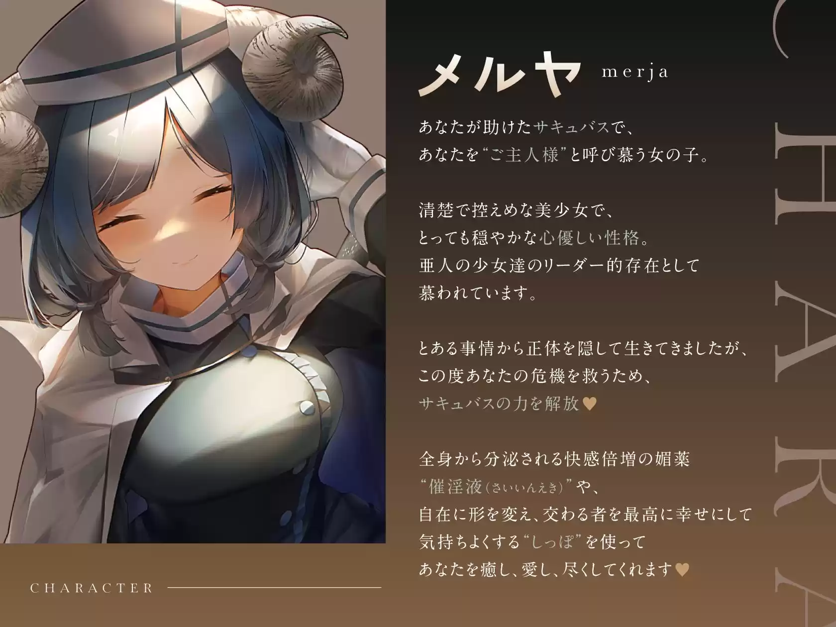 メルヤのしゅじん 〜あなたを全肯定する、清楚でえっちなサキュバスナースちゃんに、あまあま犯●れ看護生活しちゃう百合音声〜 (d_245355) - d_245355jp-004