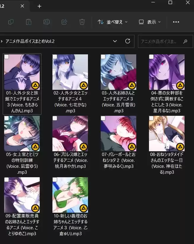 アニメ作品ボイスまとめVol.2 (d_292223) - d_292223jp-001