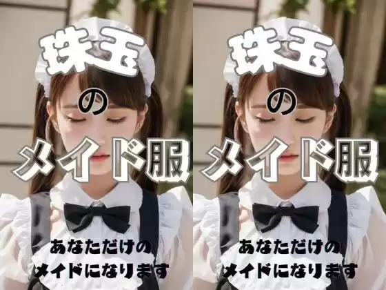 珠玉のメイド服(d_299448)