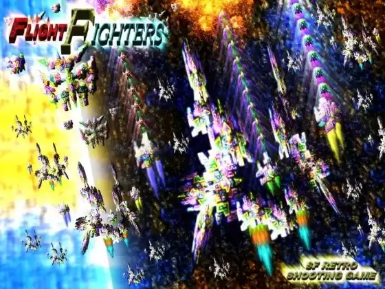 FLIGHT FIGHTERS(d_353516)