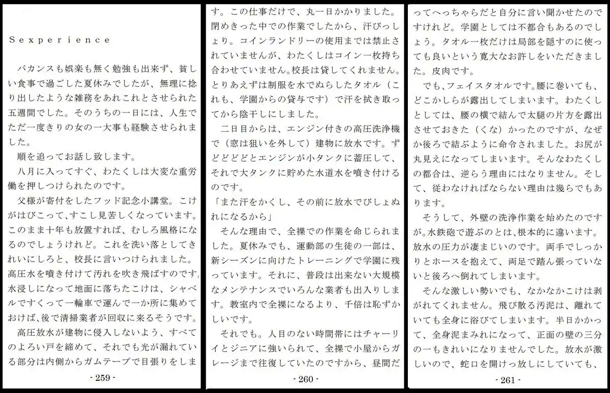 特別娼学性奴 (d_391749) - d_391749jp-009