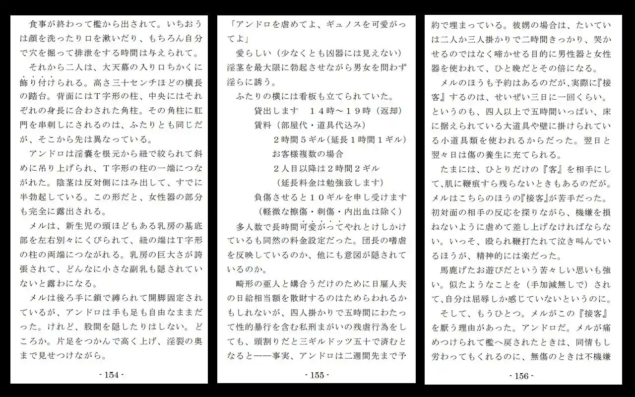 XXYzの悲劇 (d_418344) - d_418344jp-009