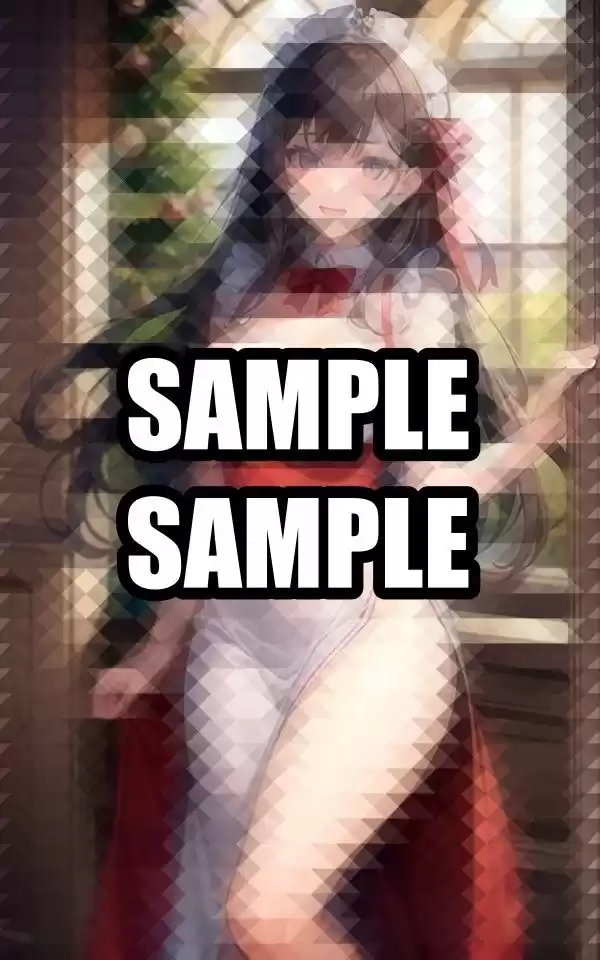 聖なる夜のサンタメイド美女 (d_496750) - d_496750jp-005