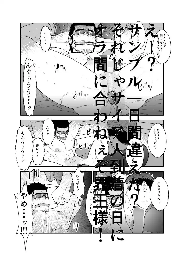 雄調教 (d_501348) - d_501348jp-003