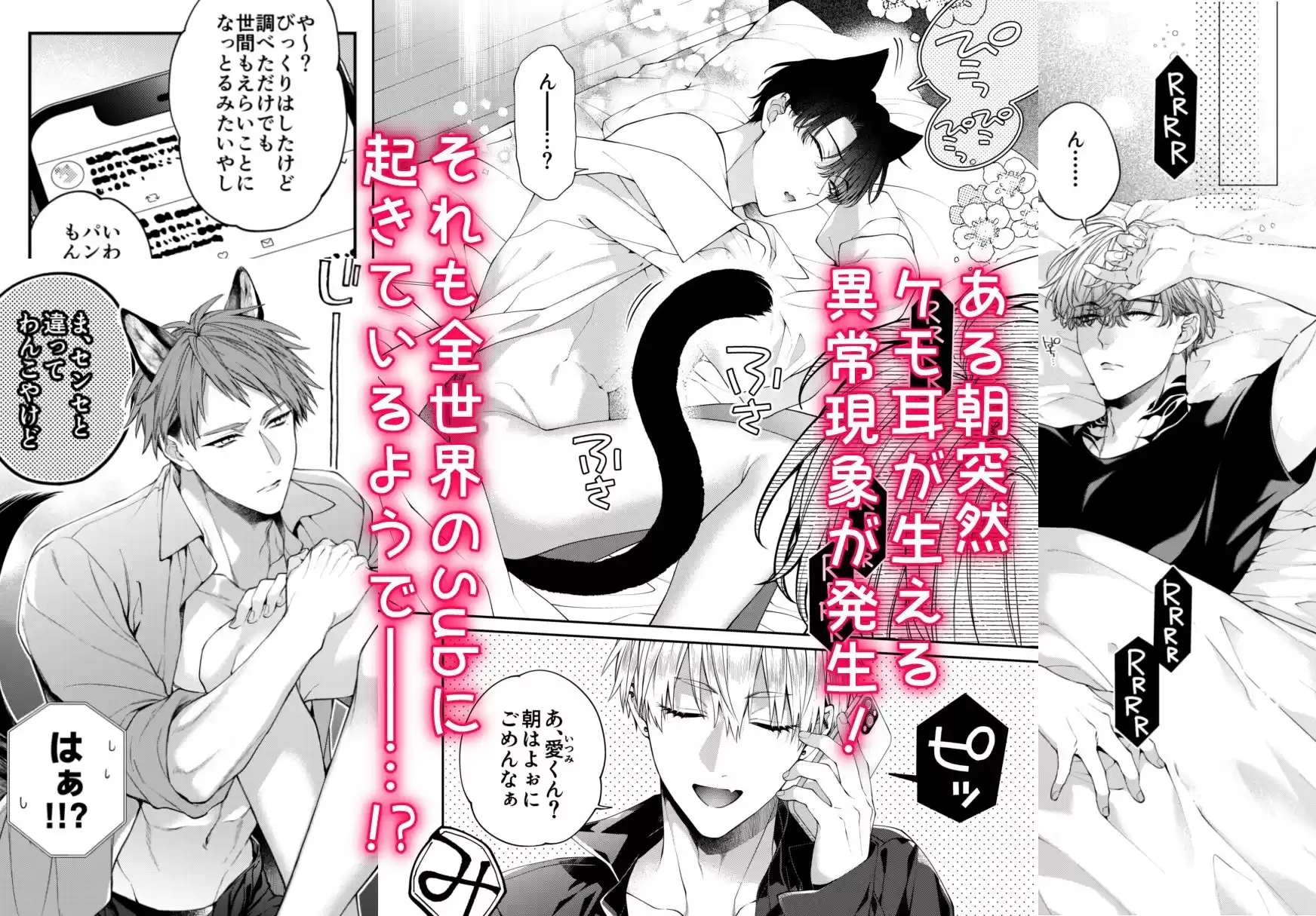 しとあめわんにゃん-全世界のSubに突然ケモ耳が生える異常現象パラレル本- (d_508748) - d_508748jp-002