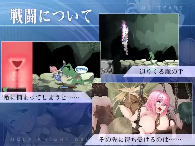 聖騎士アルネと魔孕の呪印〜Another No Tears〜 (d_510518) - d_510518jp-002