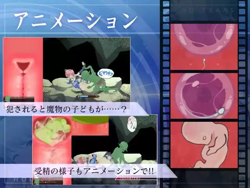 聖騎士アルネと魔孕の呪印〜Another No Tears〜 (d_510518) - d_510518jp-003