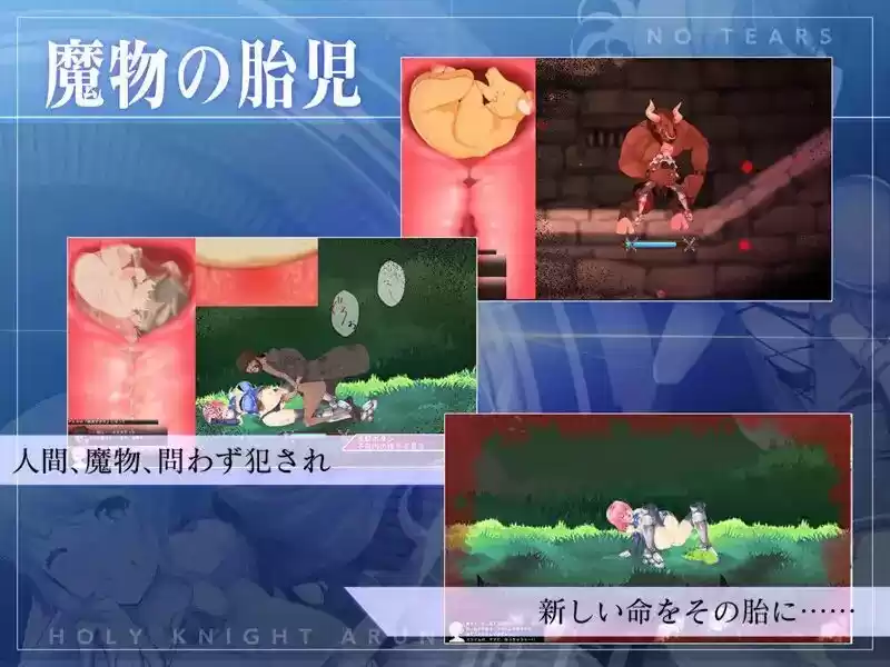 聖騎士アルネと魔孕の呪印〜Another No Tears〜 (d_510518) - d_510518jp-004