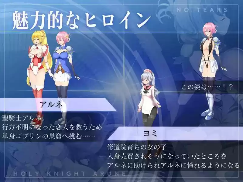 聖騎士アルネと魔孕の呪印〜Another No Tears〜 (d_510518) - d_510518jp-005
