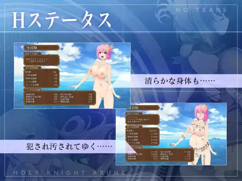 聖騎士アルネと魔孕の呪印〜Another No Tears〜 (d_510518) - d_510518jp-006