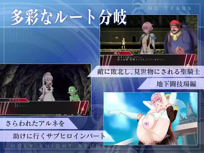 聖騎士アルネと魔孕の呪印〜Another No Tears〜 (d_510518) - d_510518jp-009