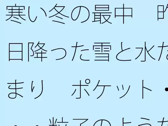 寒い冬の最中  昨日降った雪と水たまり  ポケット・・・粒子のようなことが(d_518059)