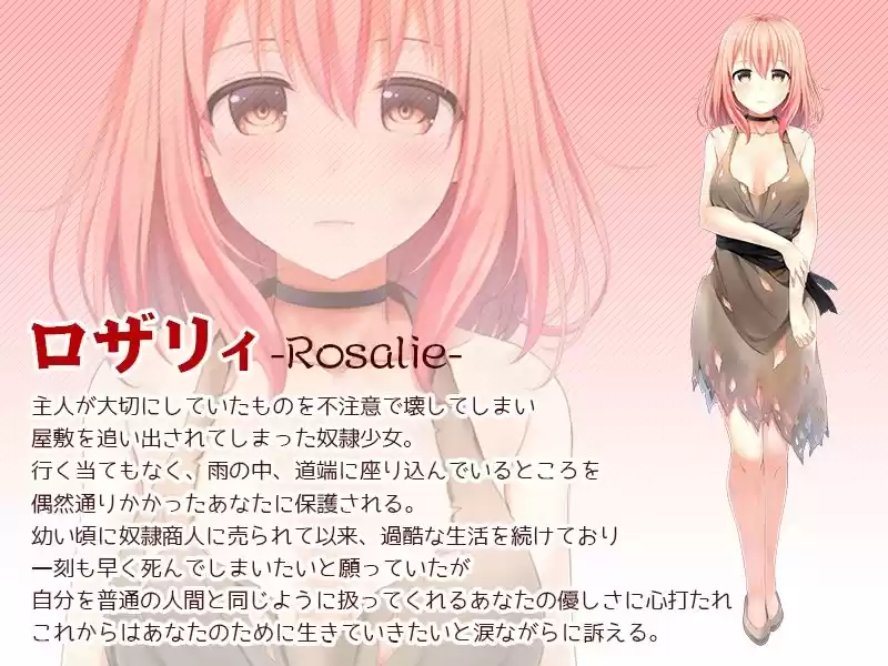 奴●少女ロザリィ総集編 ―捨てられた奴●少女が貴方と幸せになるまでの物語― (d_738725) - d_738725jp-001
