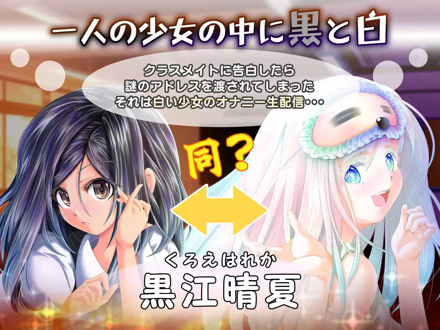 夕暮れまぐれの黒と白 (d_765856) - d_765856jp-001